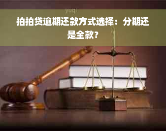 拍拍贷逾期还款方式选择：分期还是全款？