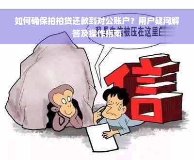 如何确保拍拍贷还款到对公账户？用户疑问解答及操作指南