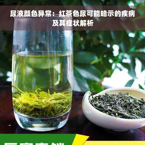 尿液颜色异常：红茶色尿可能暗示的疾病及其症状解析