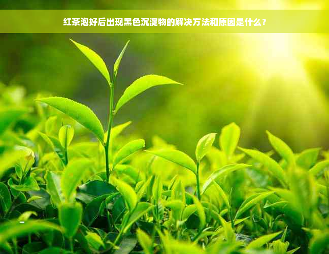 红茶泡好后出现黑色沉淀物的解决方法和原因是什么？