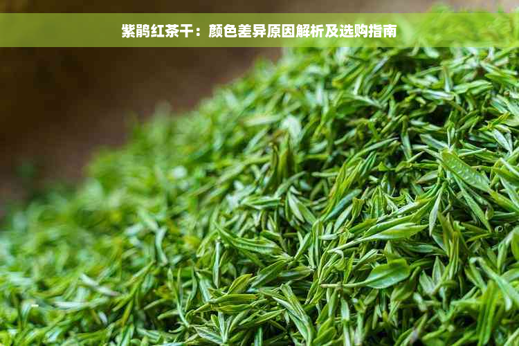 紫鹃红茶干：颜色差异原因解析及选购指南