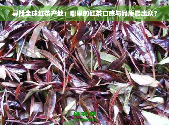 寻找全球红茶产地：哪里的红茶口感与品质最出众？