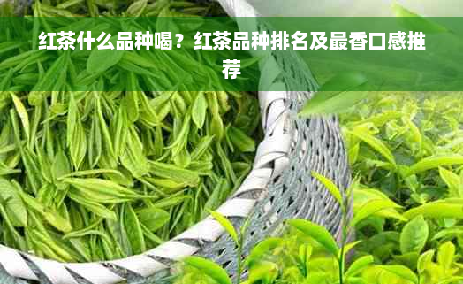 红茶什么品种喝？红茶品种排名及最香口感推荐