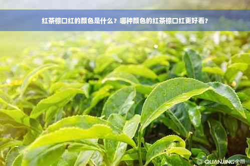 红茶棕口红的颜色是什么？哪种颜色的红茶棕口红更好看？