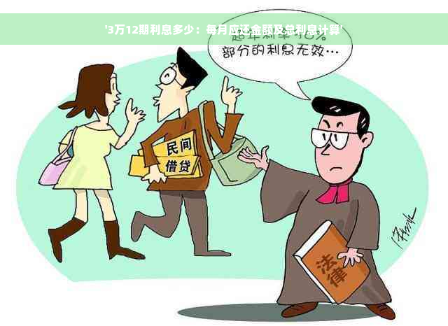 '3万12期利息多少：每月应还金额及总利息计算'