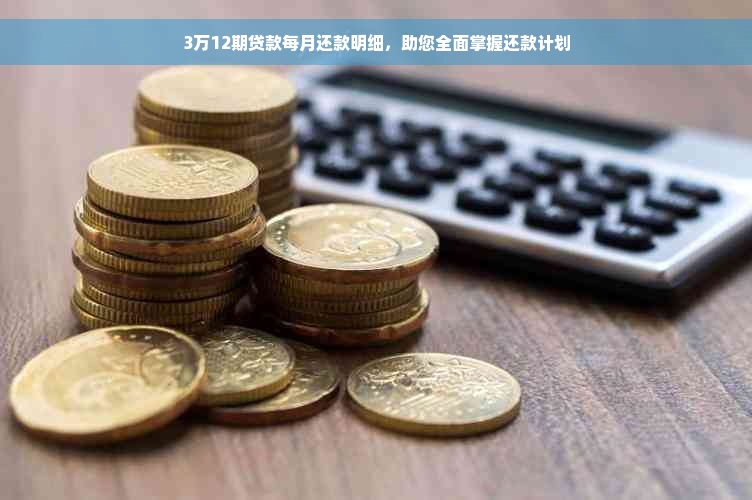 3万12期贷款每月还款明细，助您全面掌握还款计划