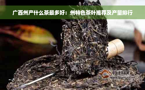 广西州产什么茶最多好：州特色茶叶推荐及产量排行