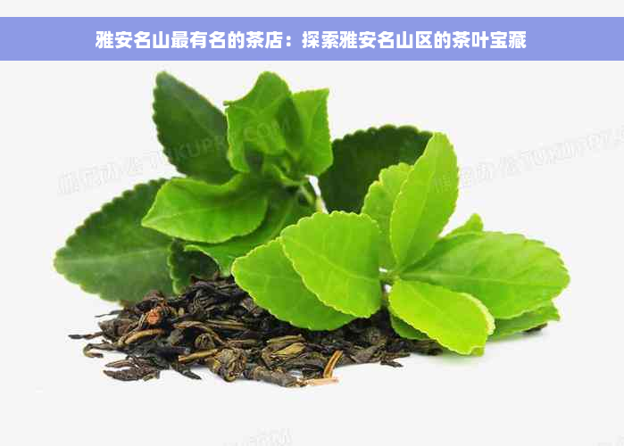 雅安名山最有名的茶店：探索雅安名山区的茶叶宝藏