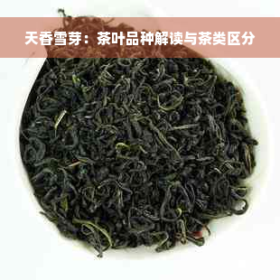 天香雪芽：茶叶品种解读与茶类区分