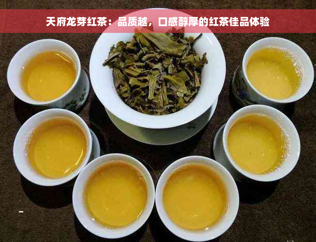 天府龙芽红茶：品质越，口感醇厚的红茶佳品体验