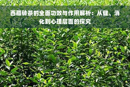  *** 砖茶的全面功效与作用解析：从健、消化到心理层面的探究