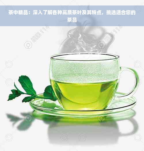 茶中精品：深入了解各种高质茶叶及其特点，挑选适合您的茶品