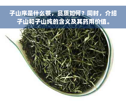 子山序是什么茶，品质如何？同时，介绍子山和子山纯的含义及其药用价值。