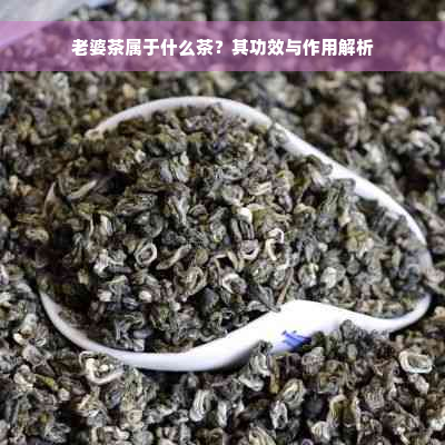 老婆茶属于什么茶？其功效与作用解析