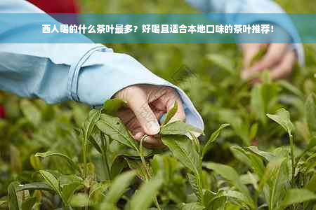 西人喝的什么茶叶最多？好喝且适合本地口味的茶叶推荐！