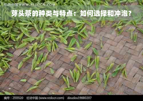 芽头茶的种类与特点：如何选择和冲泡？