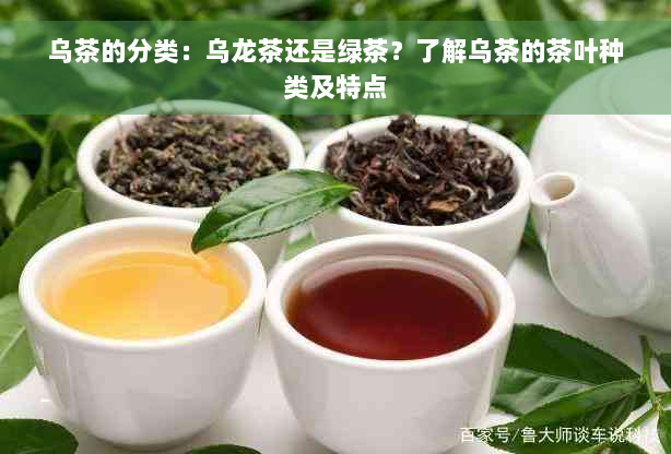 乌茶的分类：乌龙茶还是绿茶？了解乌茶的茶叶种类及特点