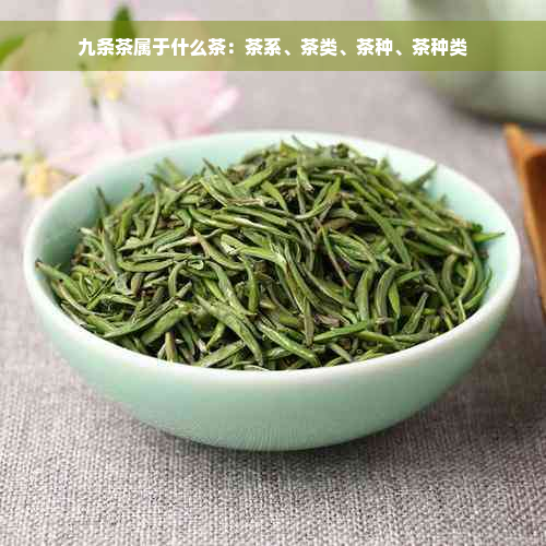 九条茶属于什么茶：茶系、茶类、茶种、茶种类