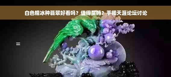 白色糯冰种翡翠好看吗？值得买吗？手镯天涯论坛讨论