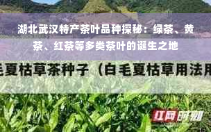 湖北武汉特产茶叶品种探秘：绿茶、黄茶、红茶等多类茶叶的诞生之地