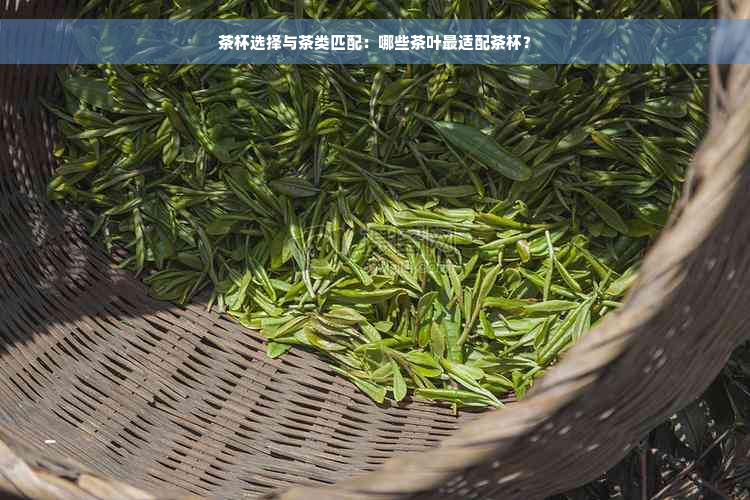 茶杯选择与茶类匹配：哪些茶叶最适配茶杯？