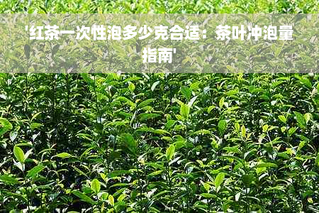 '红茶一次性泡多少克合适：茶叶冲泡量指南'