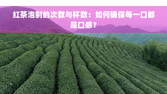 红茶泡制的次数与杯数：如何确保每一口都是口感？