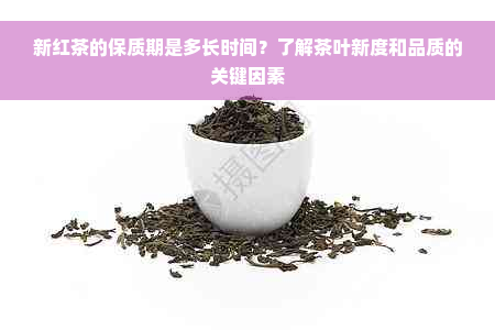 新红茶的保质期是多长时间？了解茶叶新度和品质的关键因素