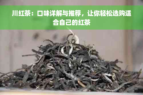 川红茶：口味详解与推荐，让你轻松选购适合自己的红茶