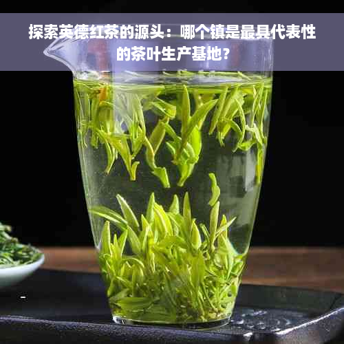 探索英德红茶的源头：哪个镇是更具代表性的茶叶生产基地？