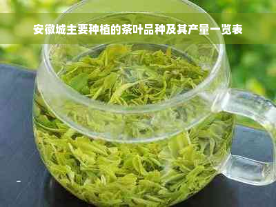 安徽城主要种植的茶叶品种及其产量一览表