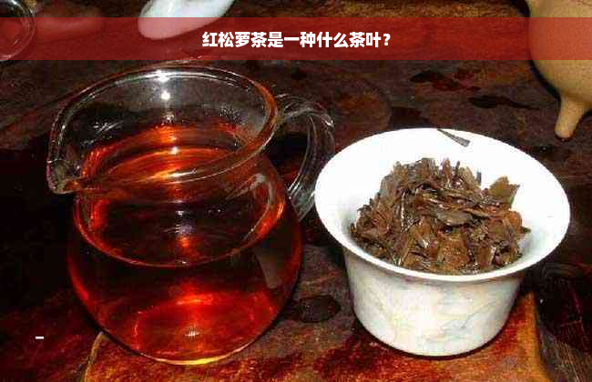 红松萝茶是一种什么茶叶？