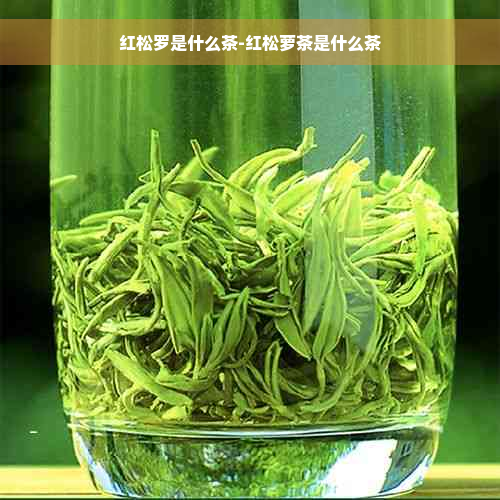 红松罗是什么茶-红松萝茶是什么茶