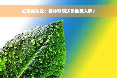 红茶的功效：提神醒脑还是助眠入睡？