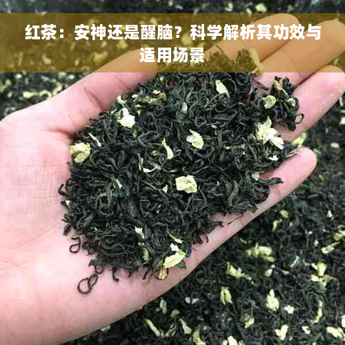 红茶：安神还是醒脑？科学解析其功效与适用场景