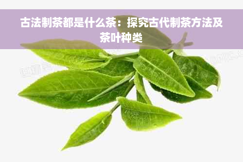 古法制茶都是什么茶：探究古代制茶方法及茶叶种类