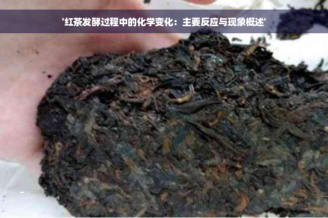 '红茶发酵过程中的化学变化：主要反应与现象概述'