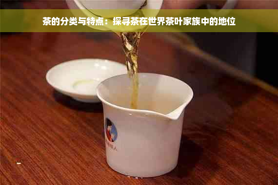 茶的分类与特点：探寻茶在世界茶叶家族中的地位