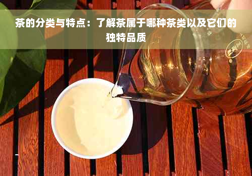 茶的分类与特点：了解茶属于哪种茶类以及它们的独特品质