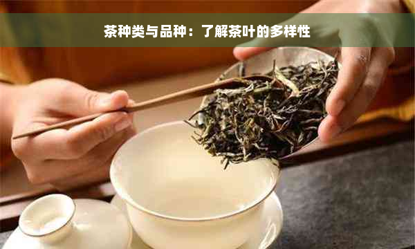 茶种类与品种：了解茶叶的多样性