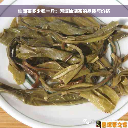 仙湖茶多少钱一斤：河源仙湖茶的品质与价格