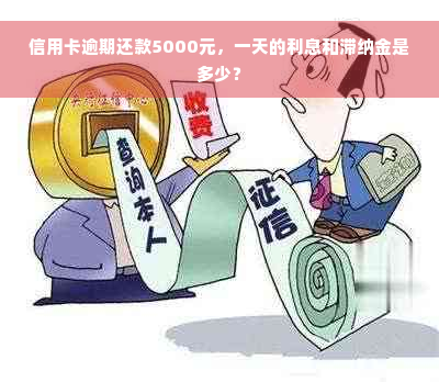 信用卡逾期还款5000元，一天的利息和滞纳金是多少？