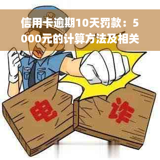 信用卡逾期10天罚款：5000元的计算方法及相关影响