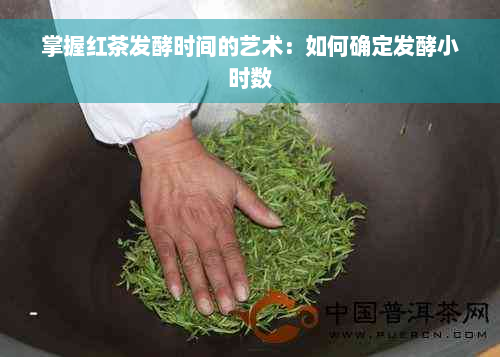 掌握红茶发酵时间的艺术：如何确定发酵小时数