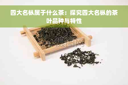 四大名枞属于什么茶：探究四大名枞的茶叶品种与特性