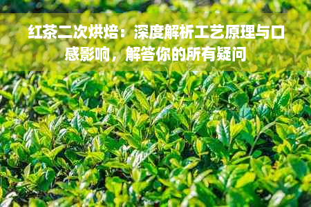 红茶二次烘焙：深度解析工艺原理与口感影响，解答你的所有疑问