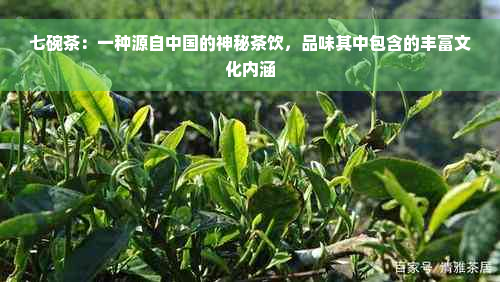 七碗茶：一种源自中国的神秘茶饮，品味其中包含的丰富文化内涵