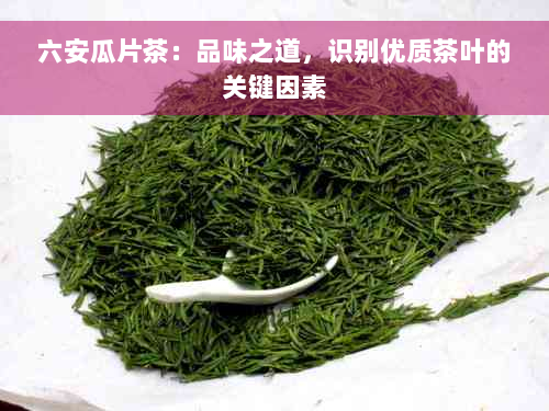 六安瓜片茶：品味之道，识别优质茶叶的关键因素