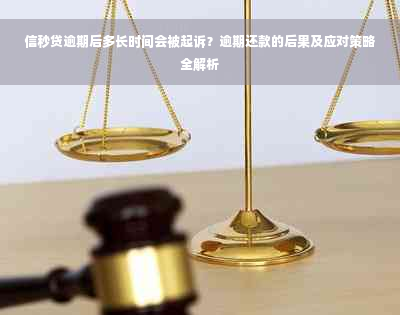 信秒贷逾期后多长时间会被起诉？逾期还款的后果及应对策略全解析