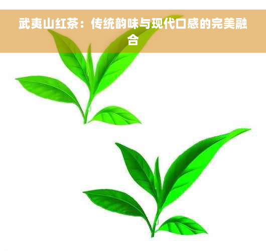 武夷山红茶：传统韵味与现代口感的完美融合